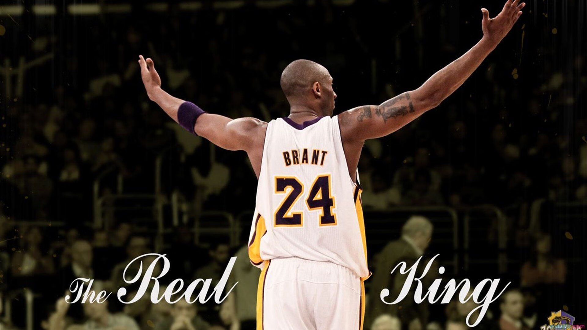 数字化时代的F1：智慧与速度并存，数字化时代百科